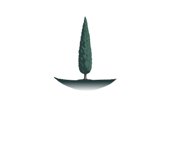 Website Preloader